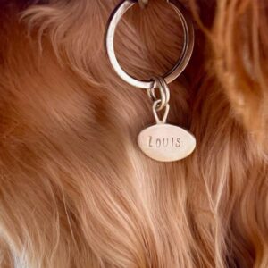 Solid Silver Pet Name Tags